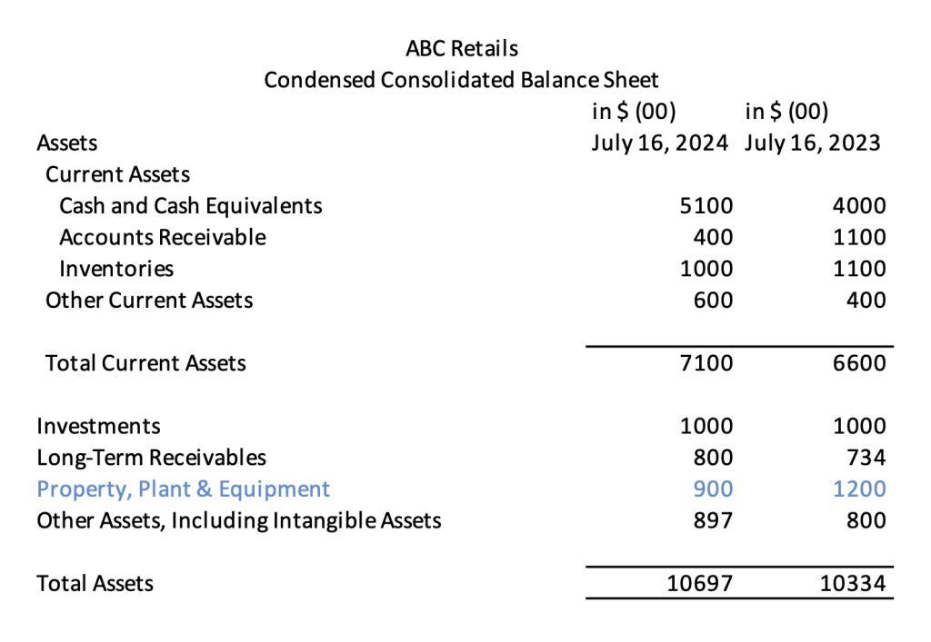 PPE Showing in Balance Sheet